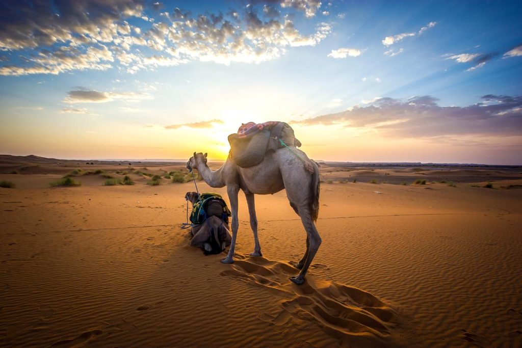 3 days desert tour from Ourzazate